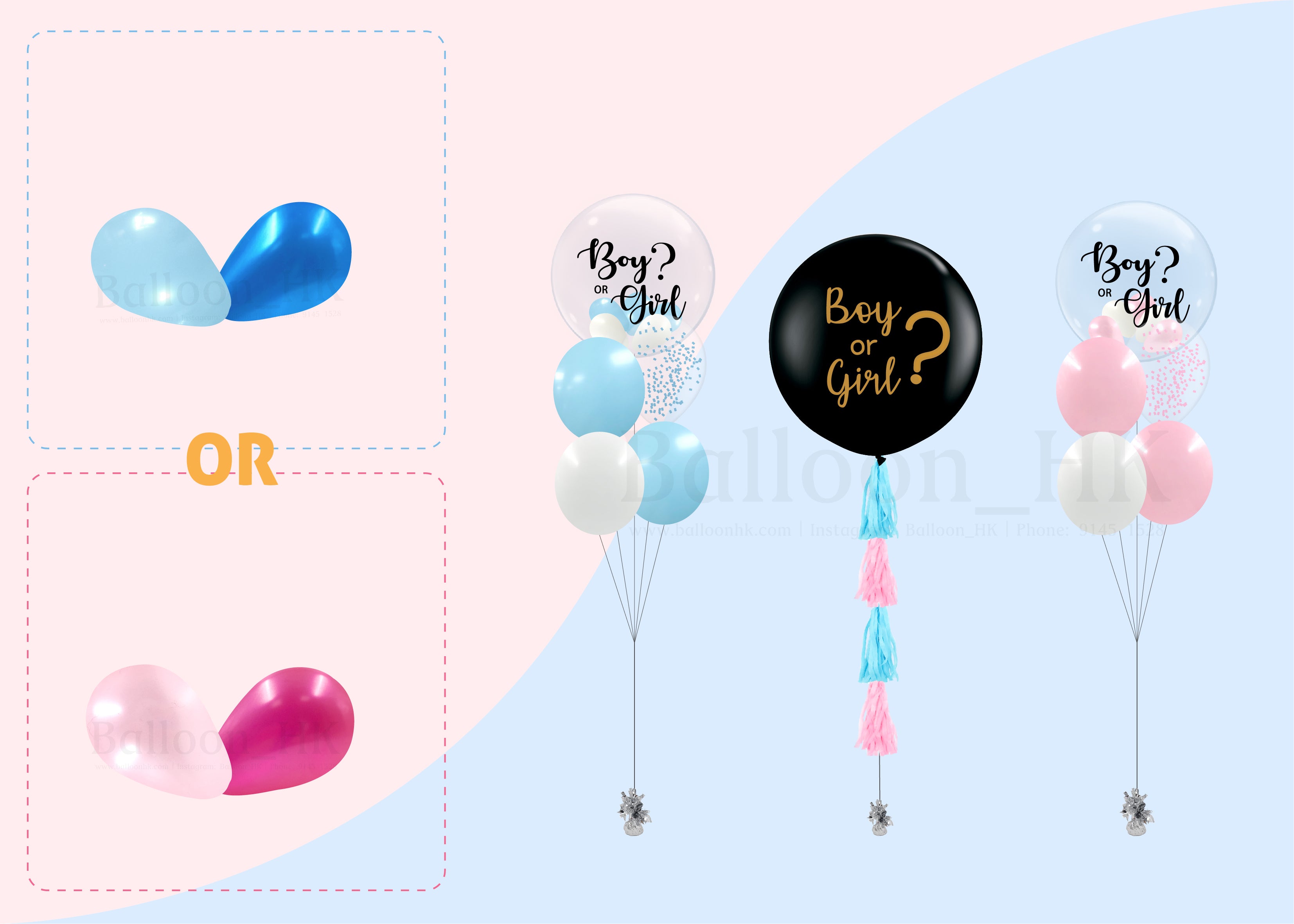 Baby Gender Reveal Package 6