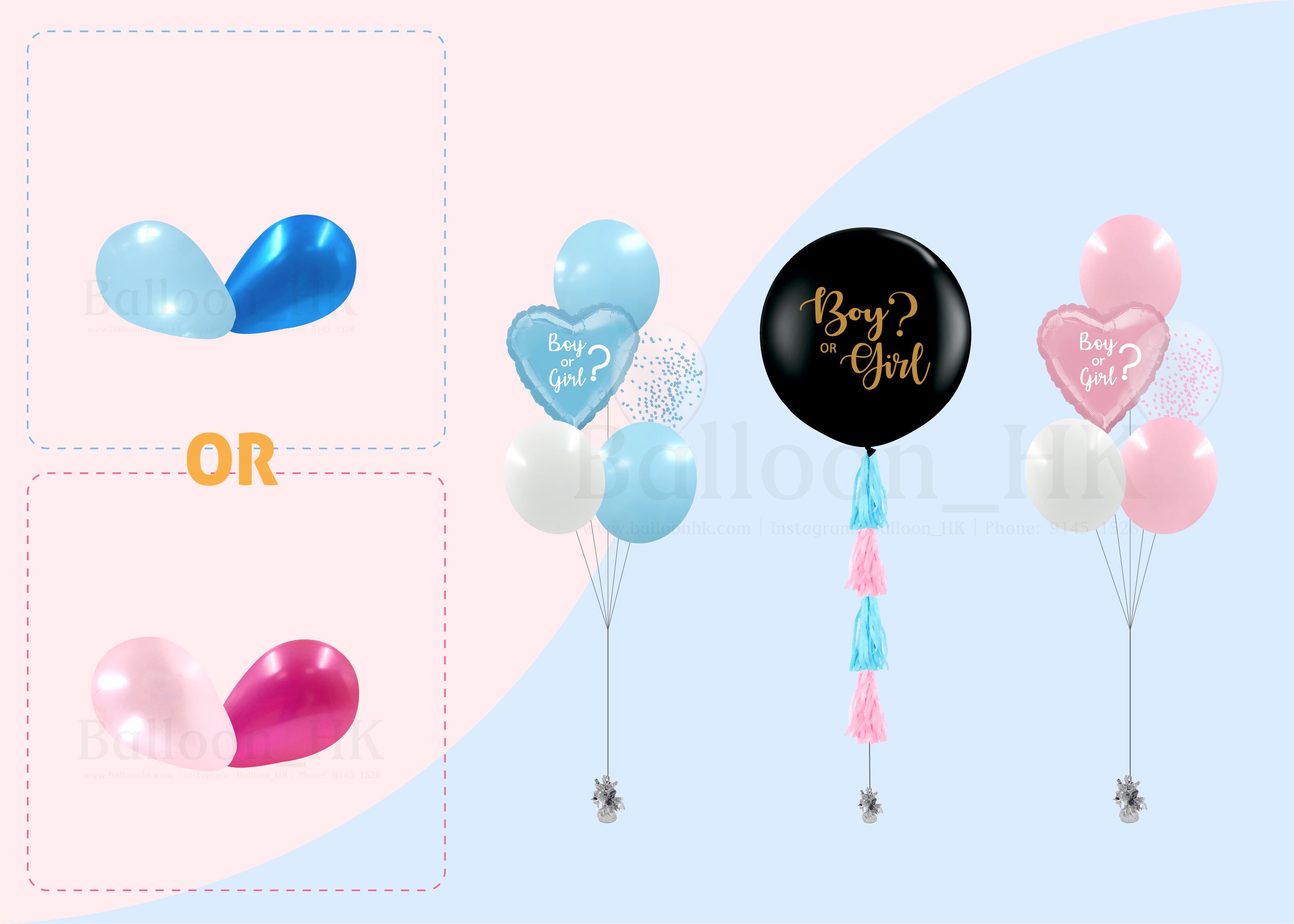 Baby Gender Reveal Package 5