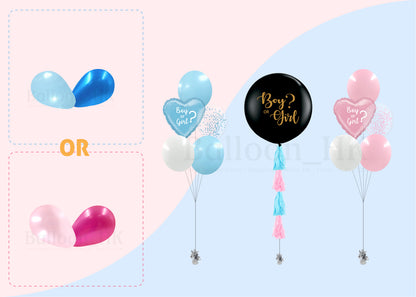 Baby Gender Reveal Package 5