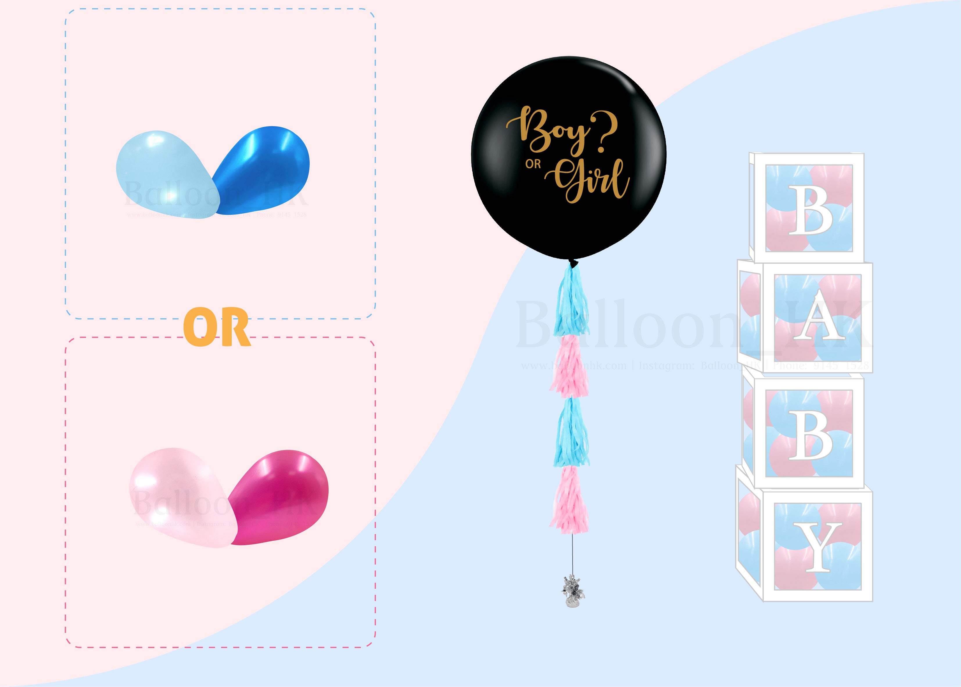 Baby Gender Reveal Package 4