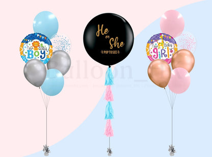 Baby Gender Reveal Package 7