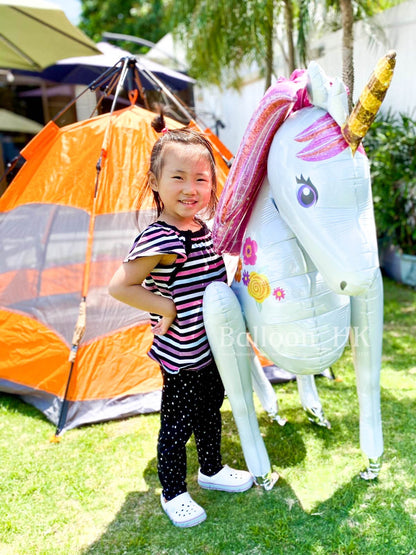 C31 座地 Magical Unicorn