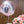 彩印相片水晶羽毛氣球 (3天預訂)